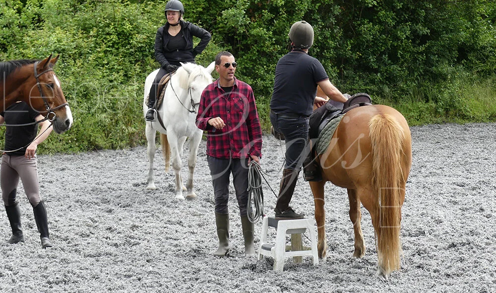lecon-equitation-adulte.jpg