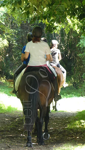 promenade-cheval-adultes.jpg