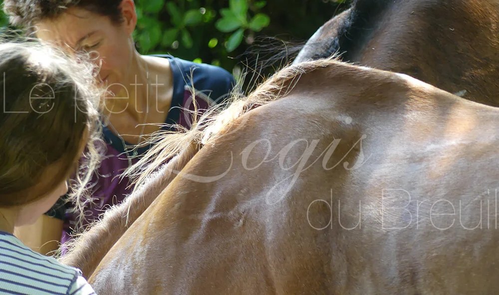 vacances-cheval-famille.jpg