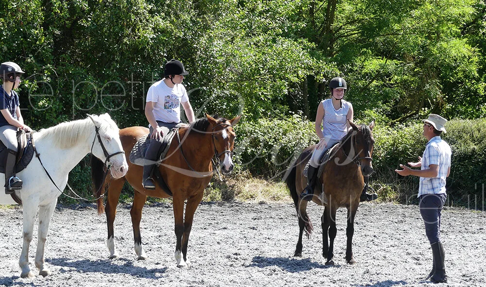 vacances-cheval-familles.jpg