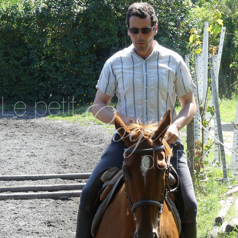 stage-equitation-adultes.jpg