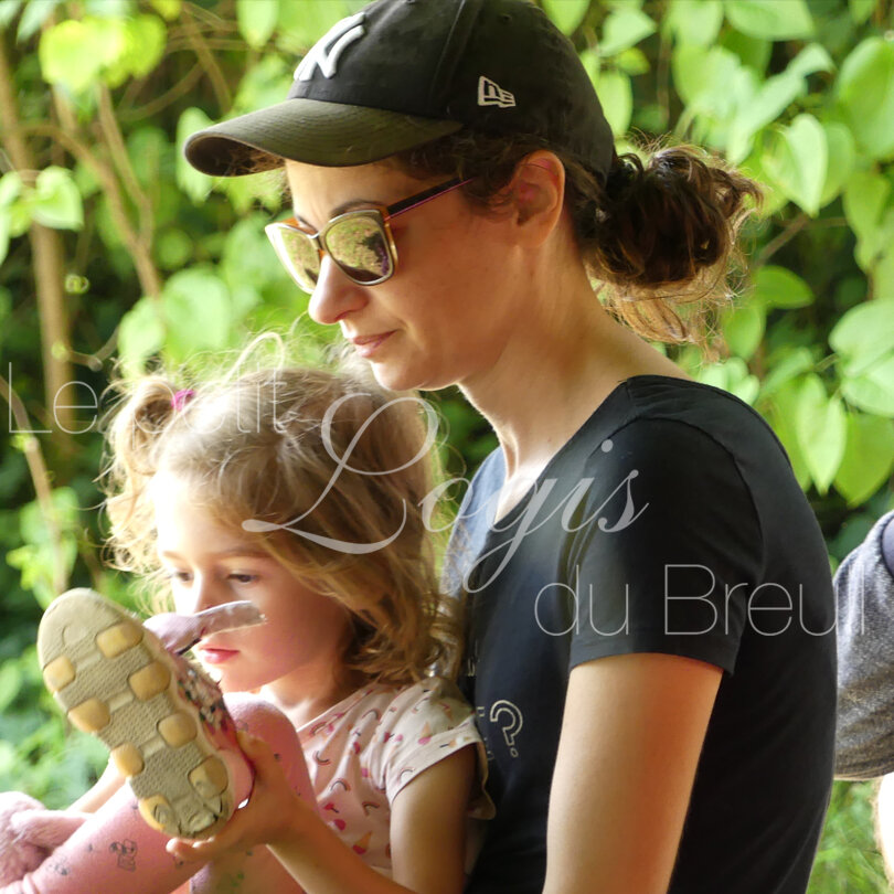 stage-equitation-famille.jpg