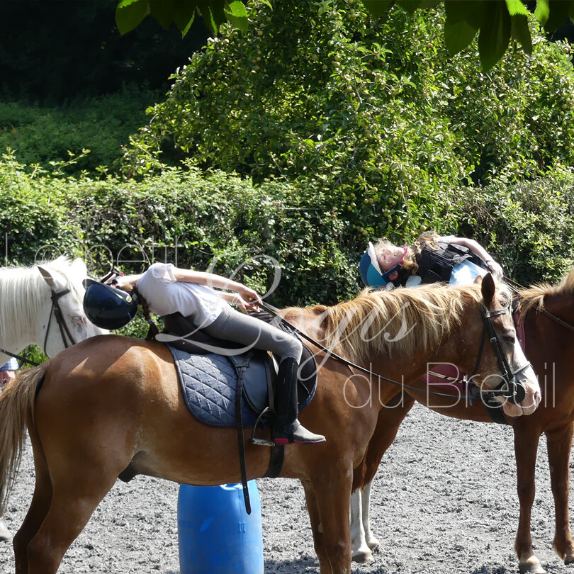 vacances-a-cheval-famille.jpg