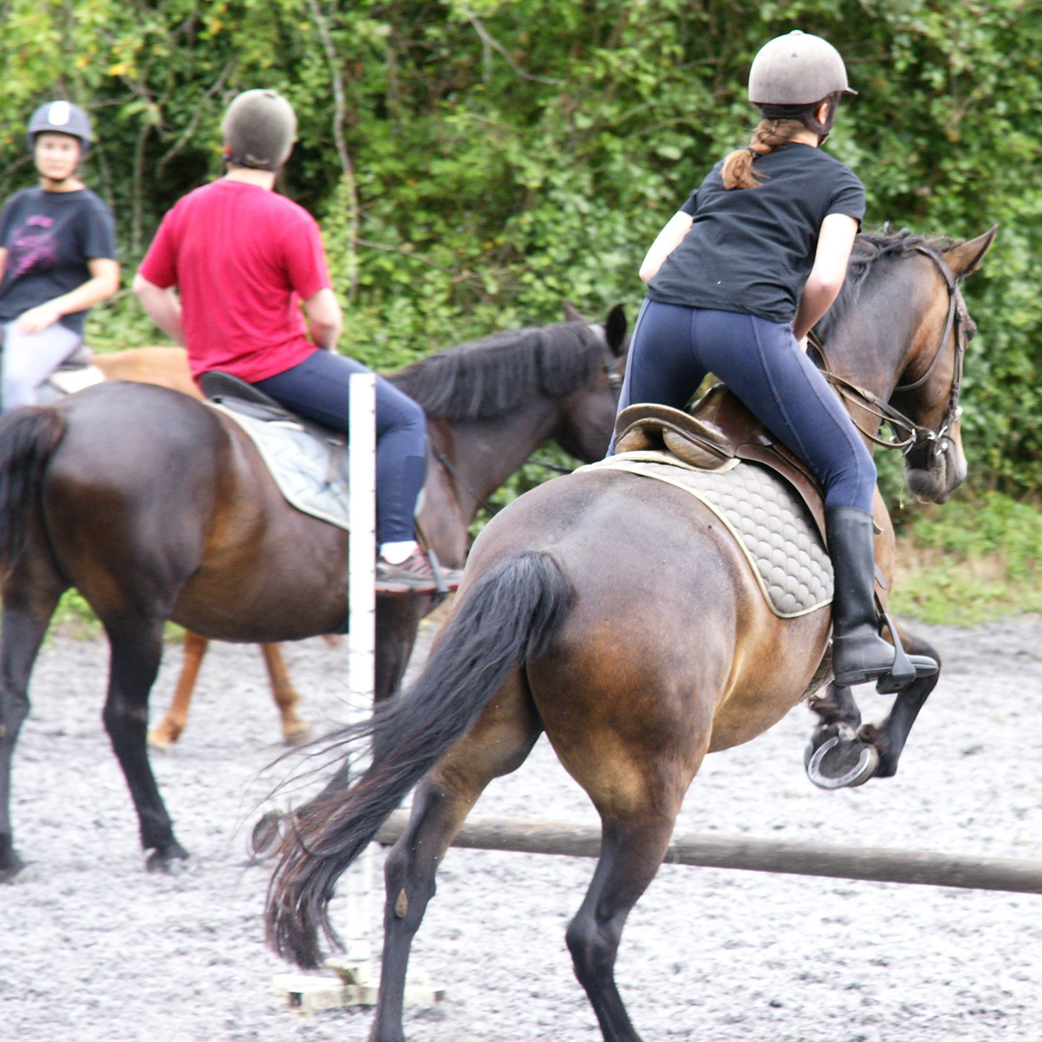 stages équitation CSO