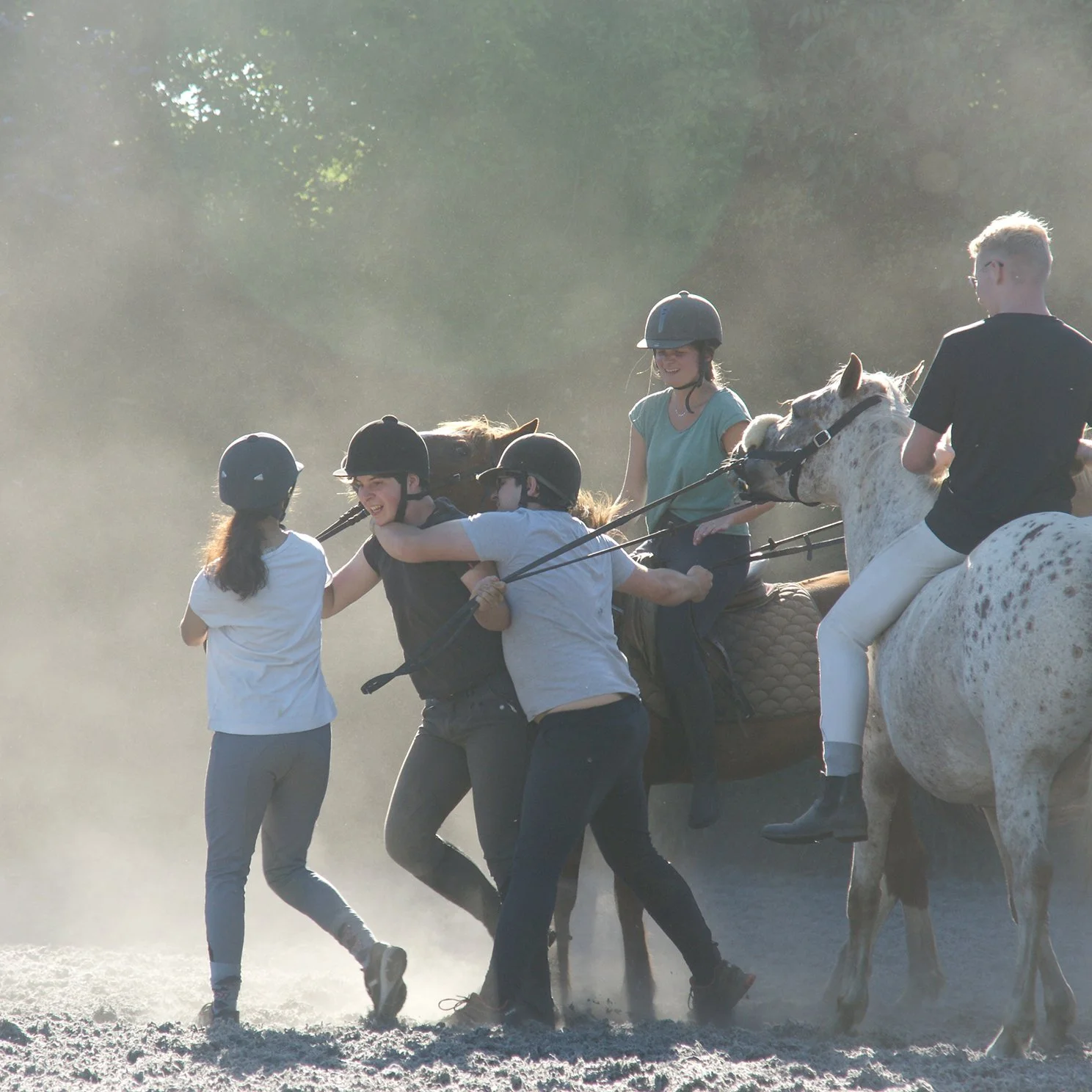 advanced horse riding holidays, horse games