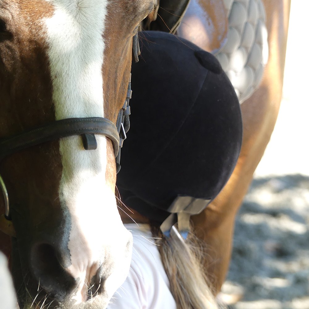 vacances à cheval en famille