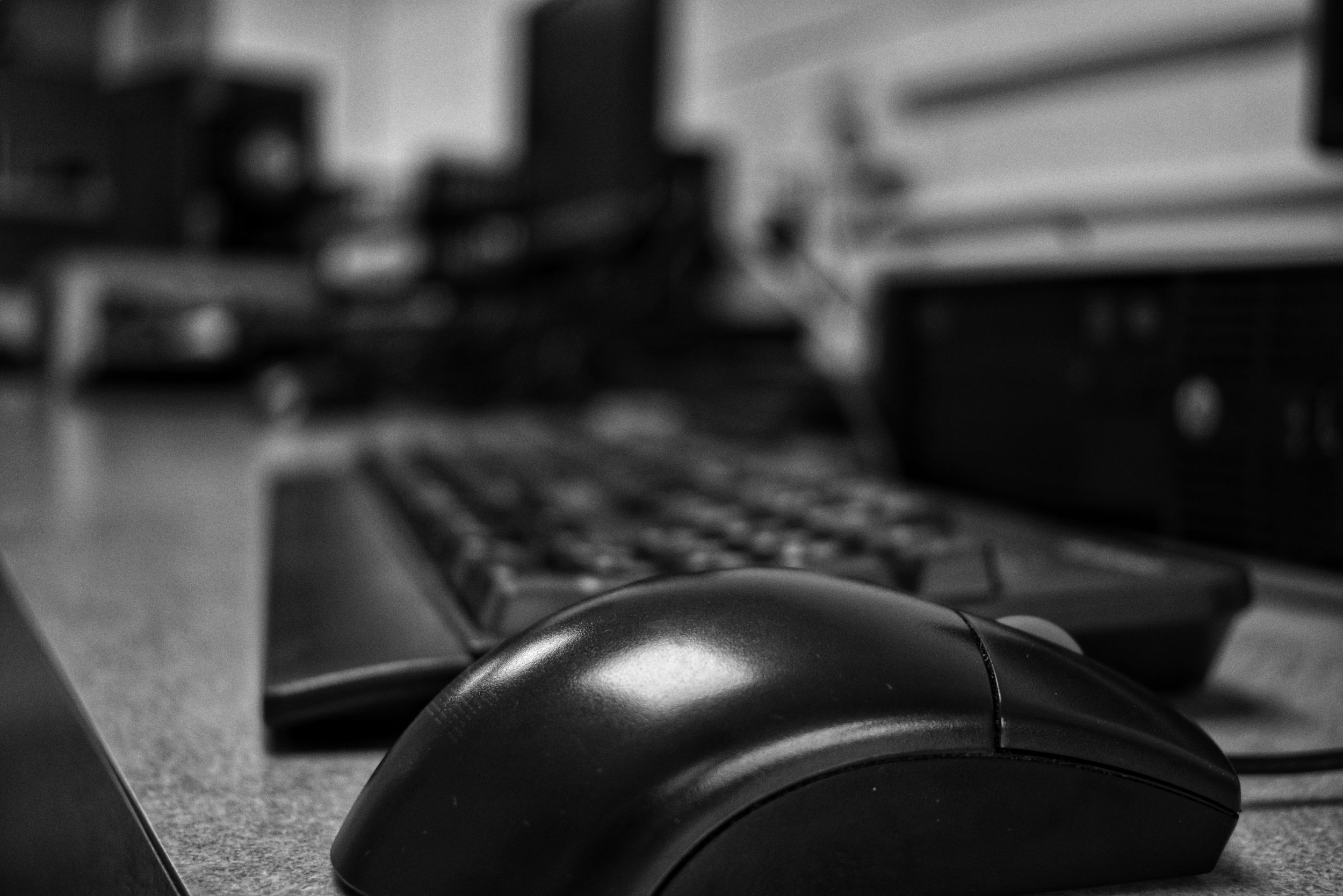 DSC_0152-01.jpeg