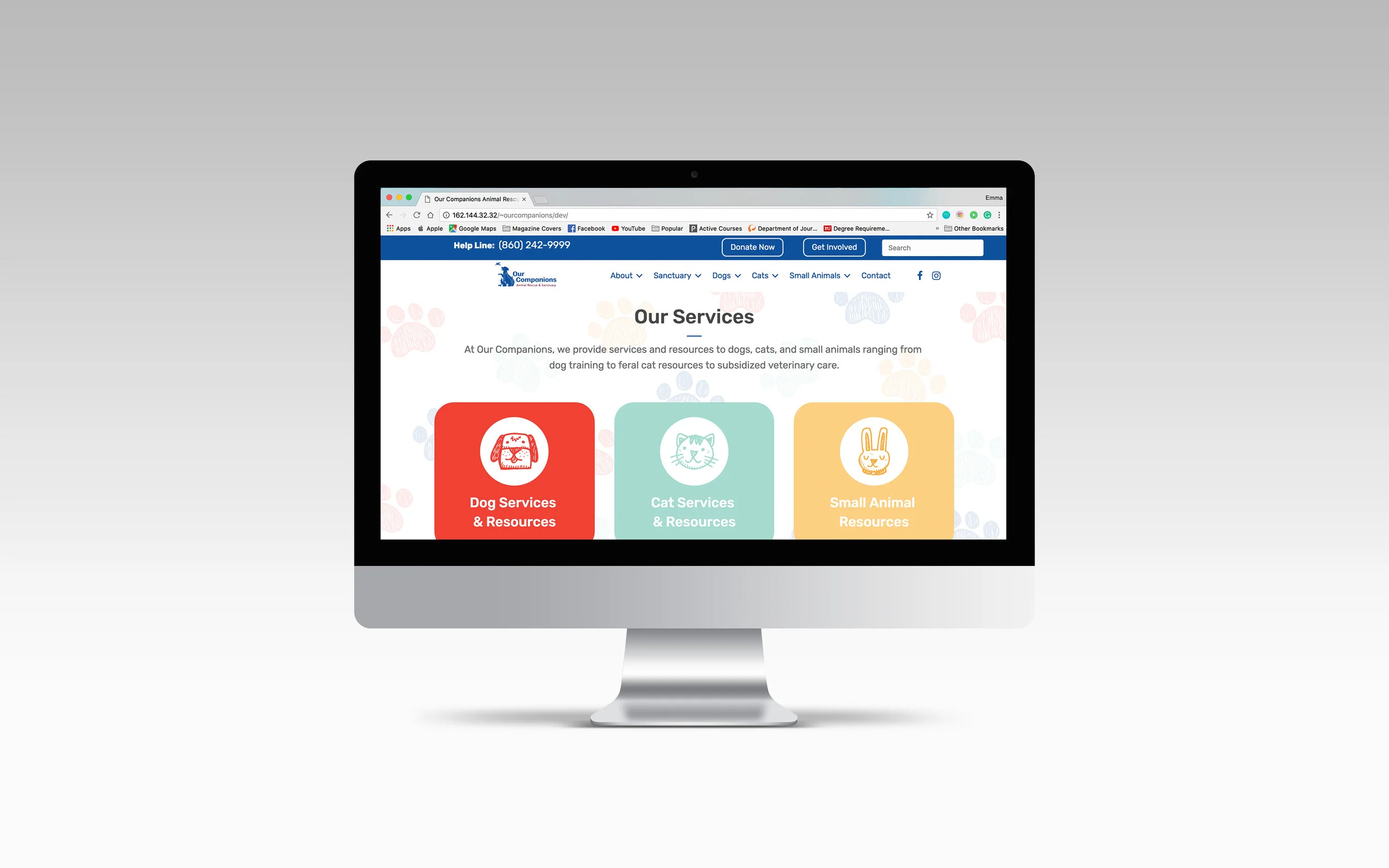 our companions 2.jpg