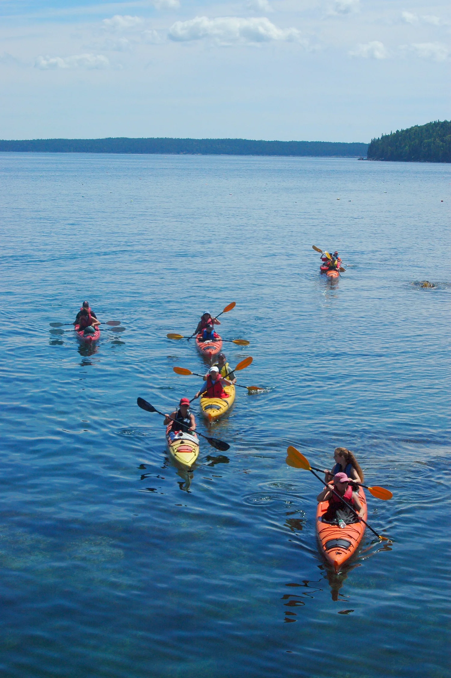 About Us Coastal Kayaking Tours