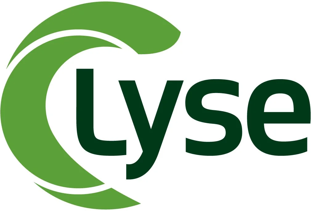 lyse_2d_rgb.jpg