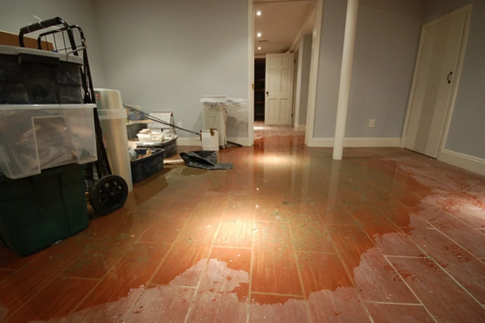 water_damage_White_House.jpg