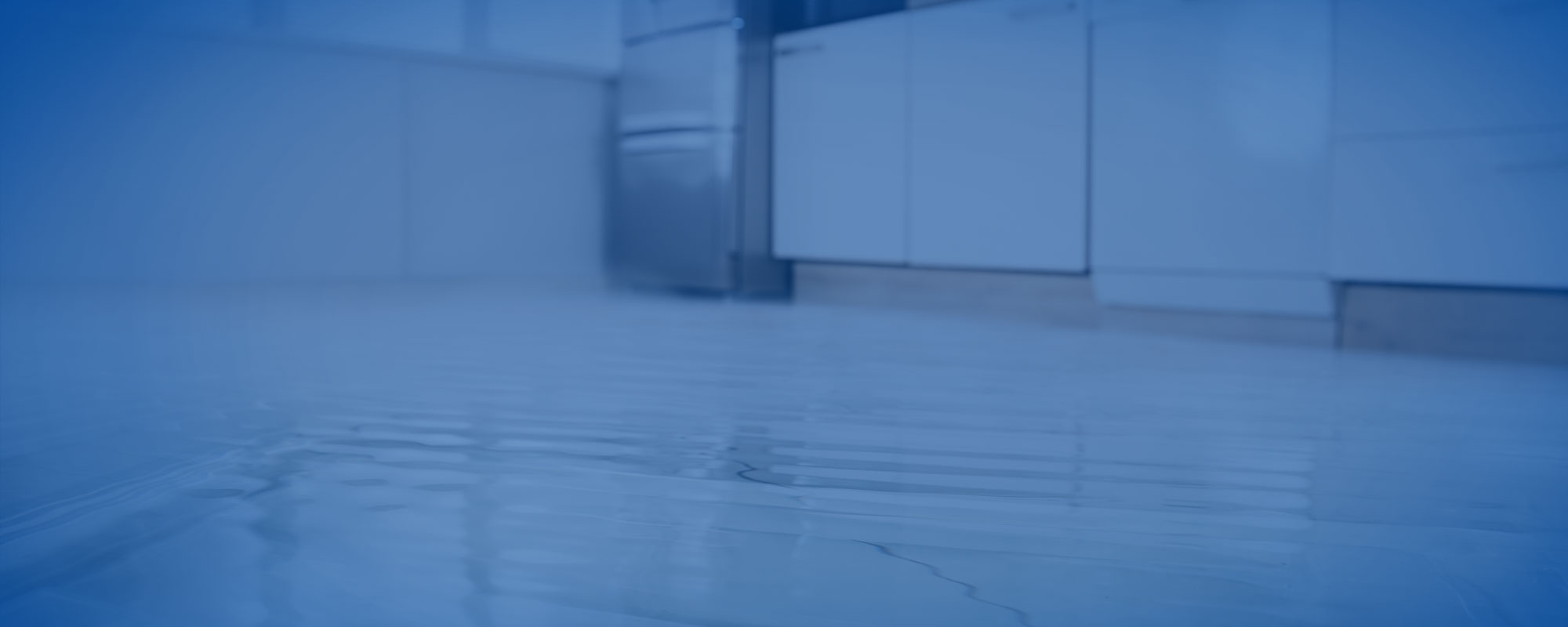 NationalGeneral_WaterDamage_Hero_blue.jpg