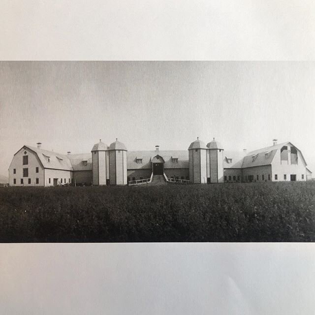 Palladio ? Une Villa Barbaro pour les vaches (ferme de Baie-Saint-Paul)