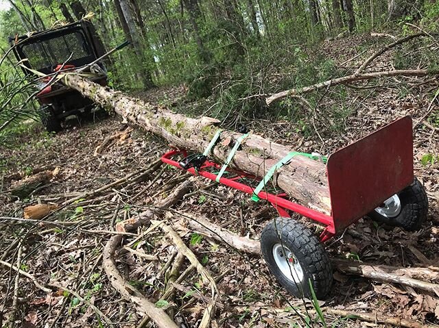 The journey of a tree, a cedar tree. Love when I can construct using natural wood found on our property. Unfortunately this time the build location was far from the tree. Rigged this hauler up and traveled around a mile to get it to its final positio