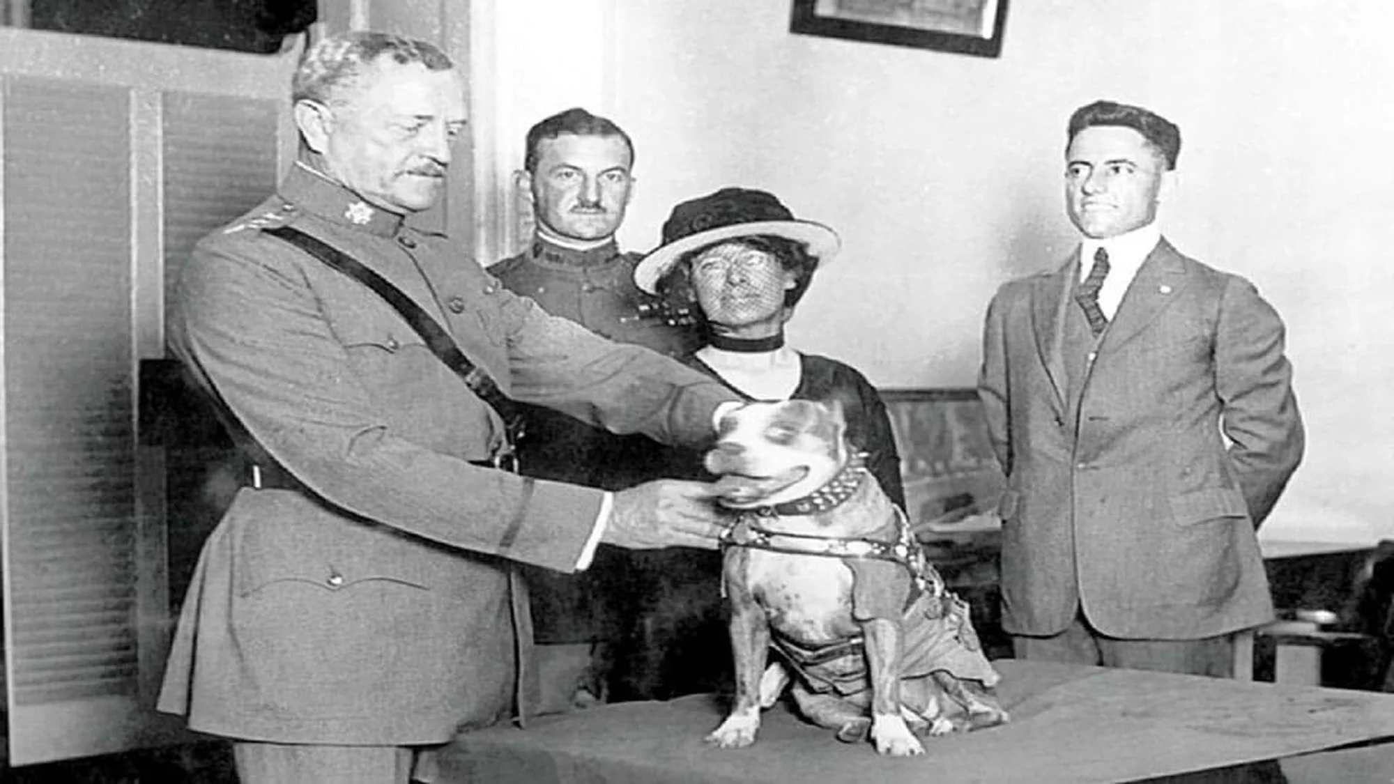 03. stubby condecorado.jpg