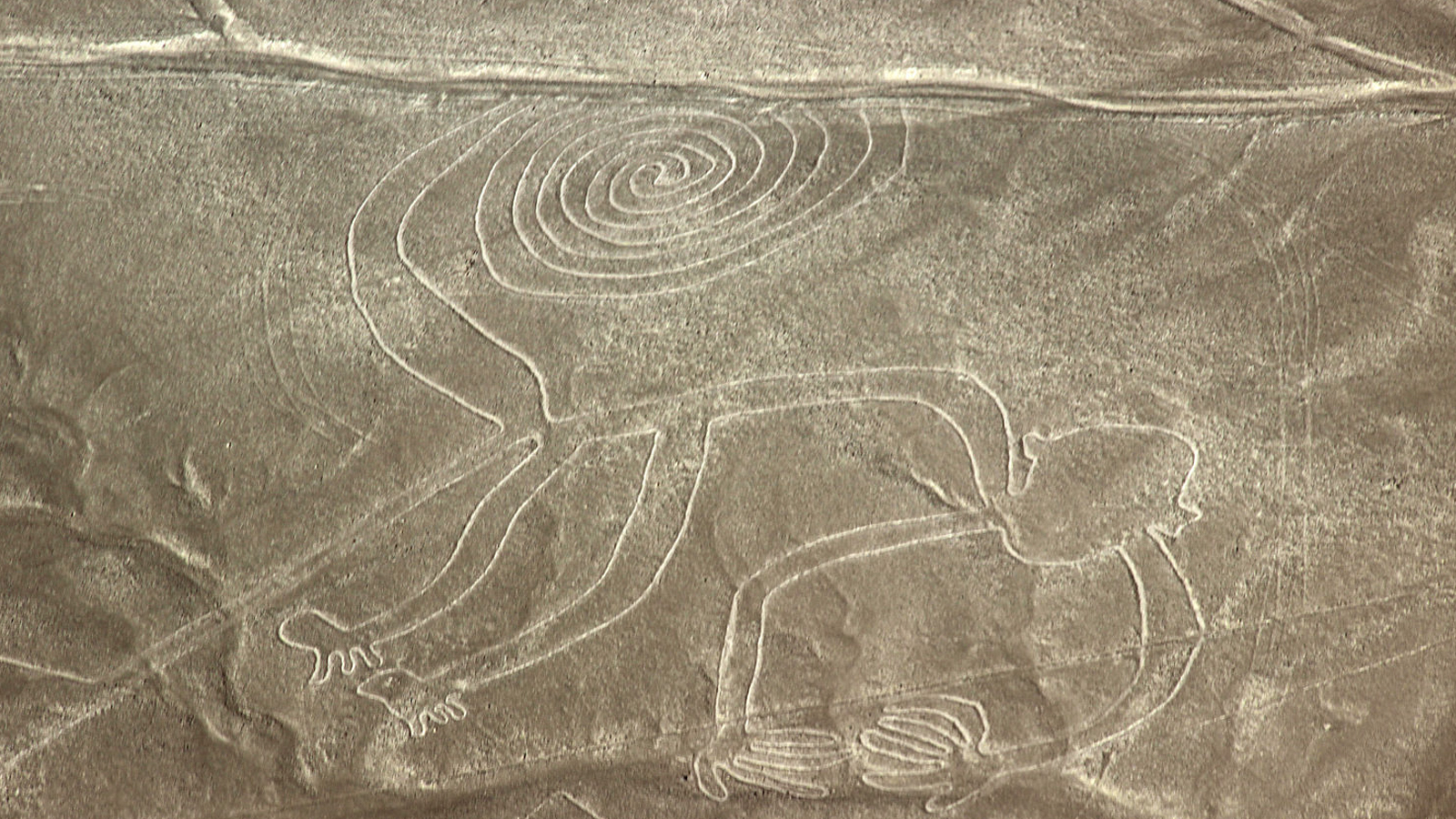 mono-nazca.jpg