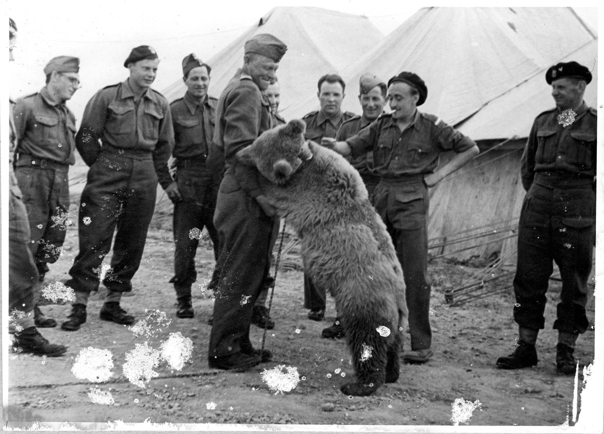 wojtek04.jpg