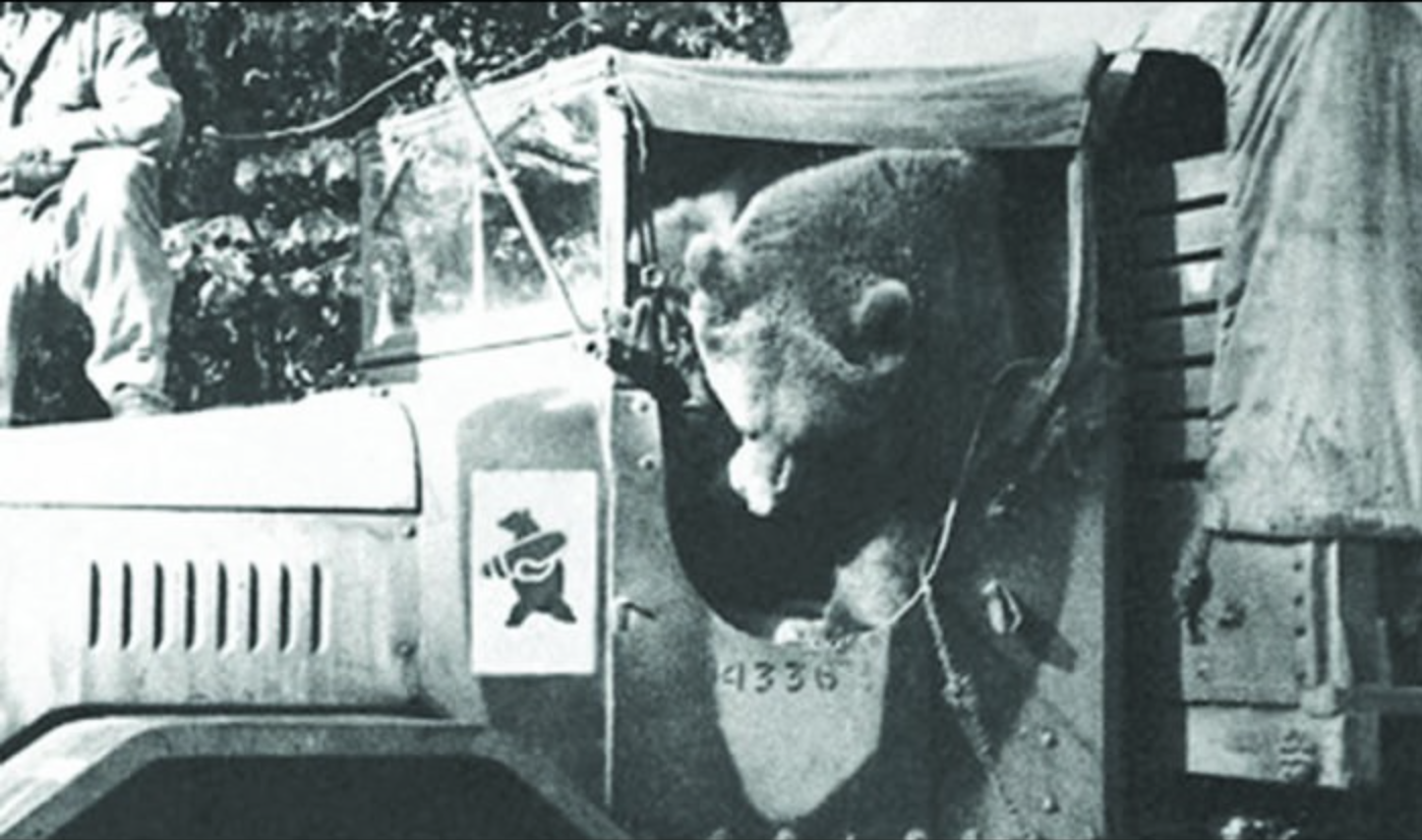 Wojtek-the-Bear-6.png