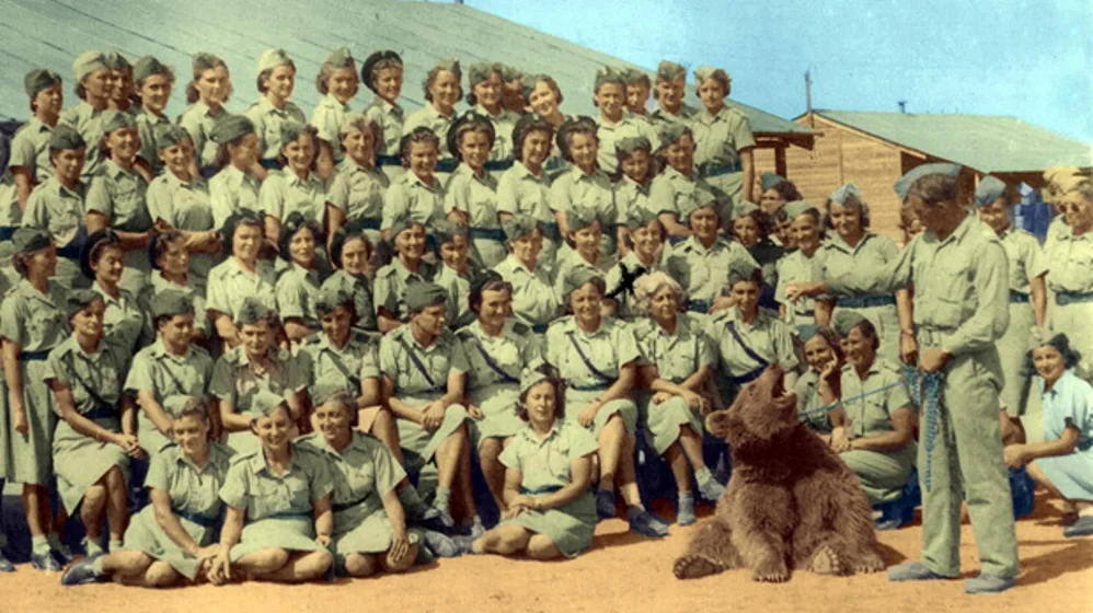 wojtek02.jpg