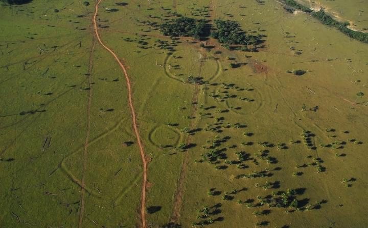 Amazon_earthwork2.jpg
