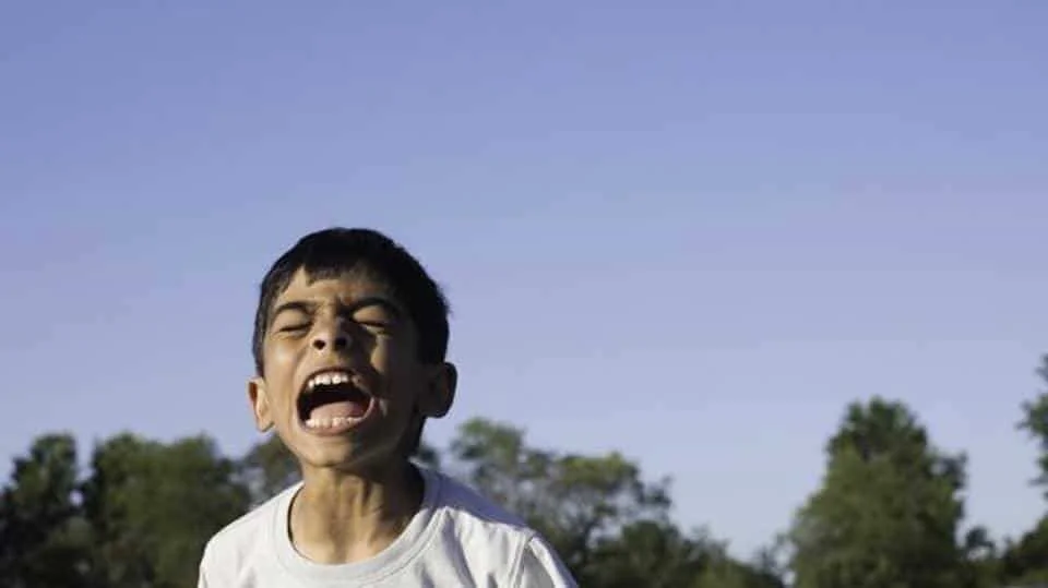 boy-screaming-in-outdoor_32b5543e-6f87-11e7-90b5-ba41537c464e.jpg