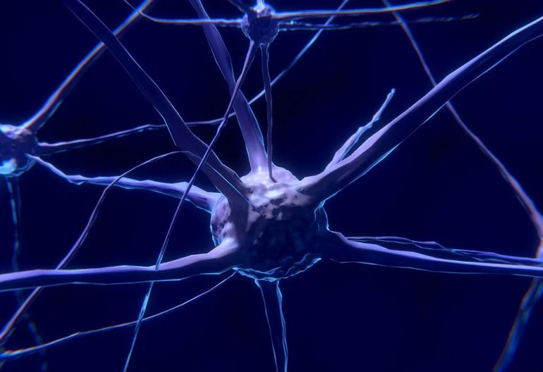 httpstved-prod.adobecqms.netcontentdamtbgmexicomuyinteresantemxsalud-y-bienestarmente-y-cerebro180412nauronas.imgo_-770x528.jpg
