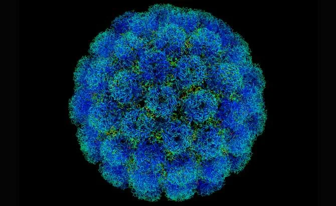 hipertextual-investigadores-mexicanos-desarrollan-cura-virus-papiloma-humano-2019221499.jpg