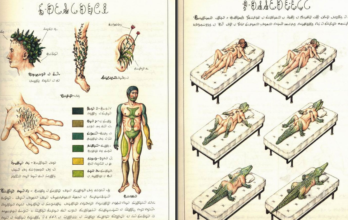 codexSeraphinianus.jpg
