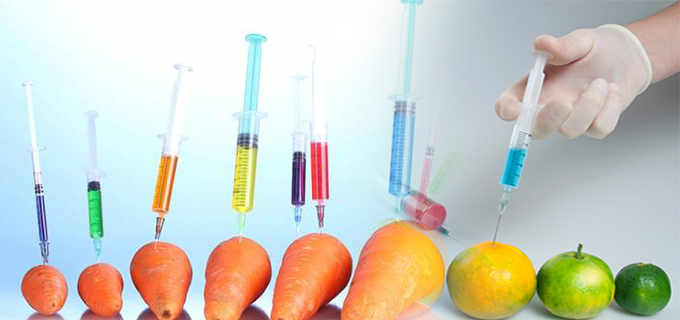 transgenic-foods.jpg