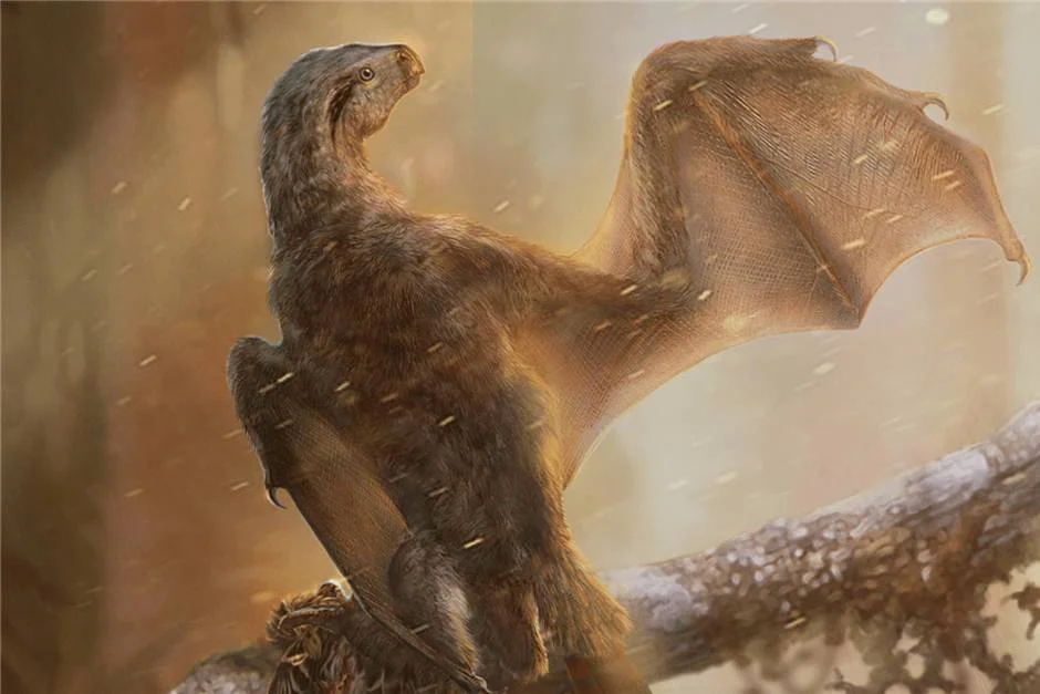 dinosaurios_nuevo.jpg