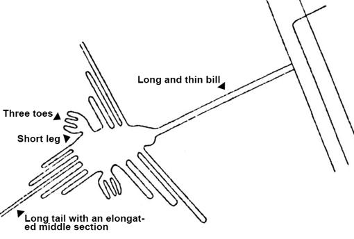 203874-k0TC--510x349@abc.jpg