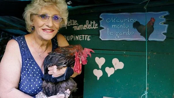 gallo-gana-juicio-en-francia-tras-ser-acusado-d-908910-547088-jpg_604x0.jpg