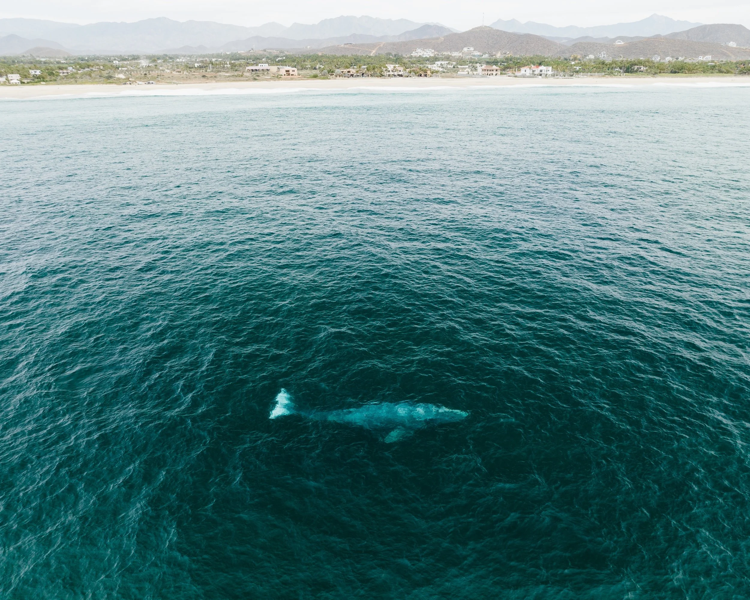 unsplash-image-m_iEvTyj77A.jpg