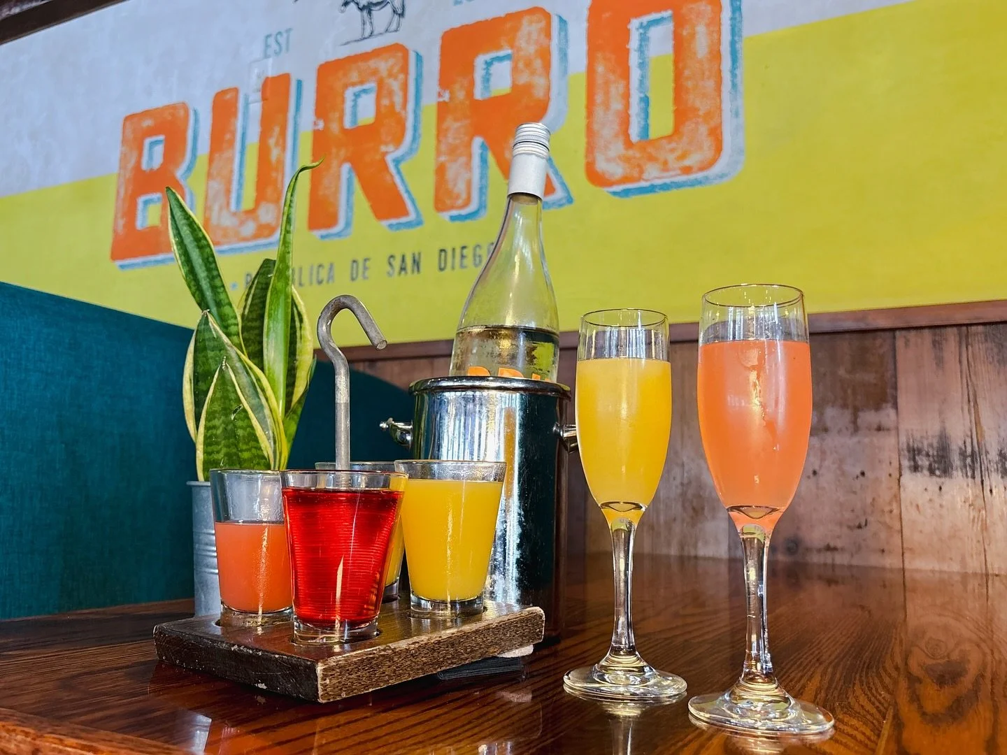 Start your March with mimosas &amp; margs!🥂