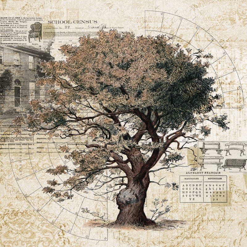 A Genealogy How-To with Robin Siegel