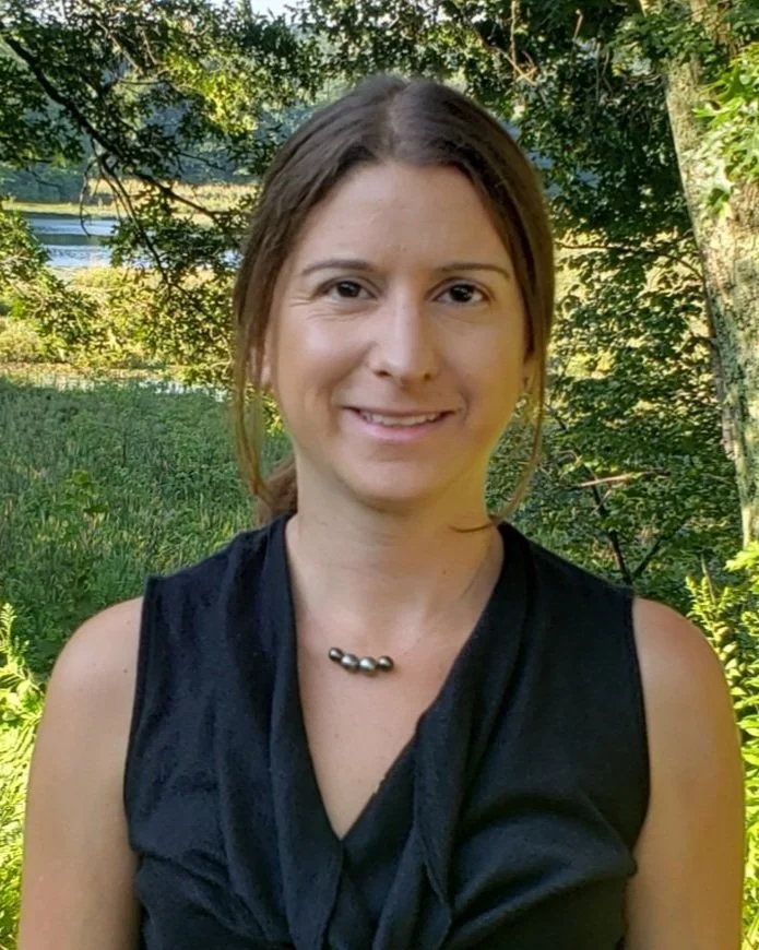 UNDERSTANDING HISTORIC PRESERVATION  WITH THE NORTH ANDOVER HISTORICAL SOCIETY 