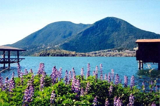 scenery-color-abounds.jpg