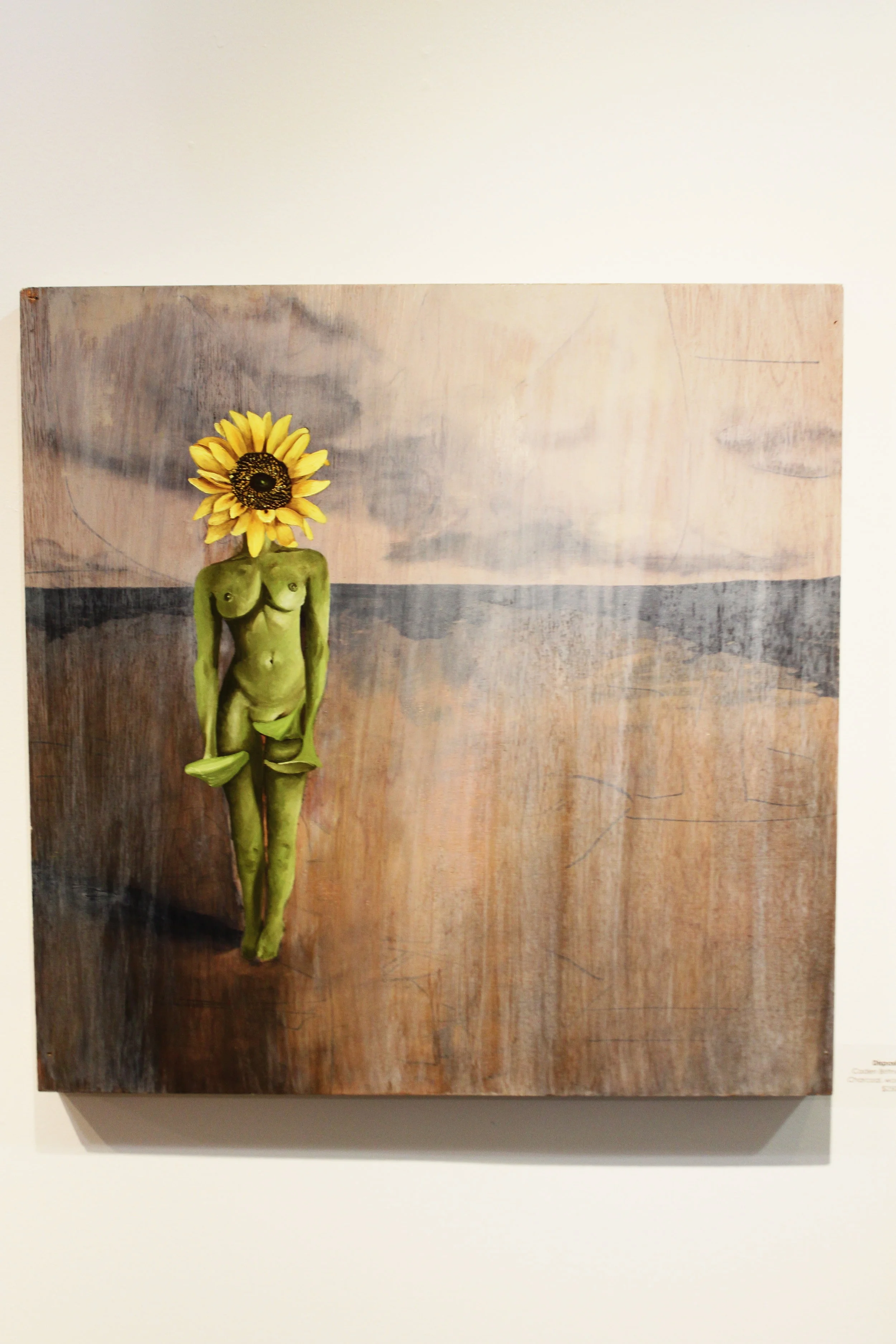 20 Something Doin' Something: Caden Wright