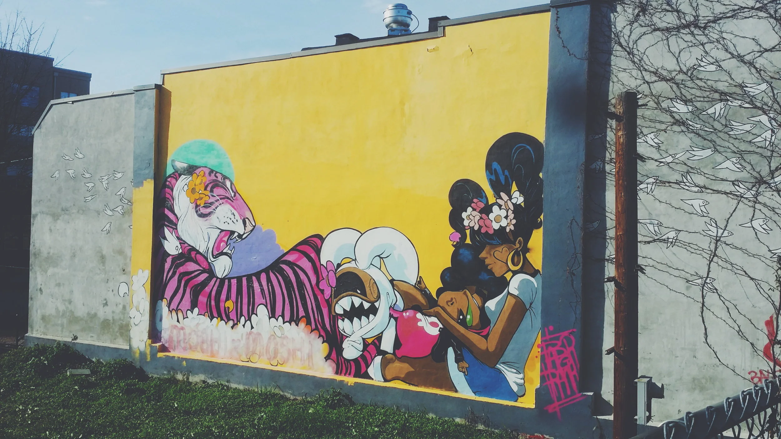 oh the places you'll go.