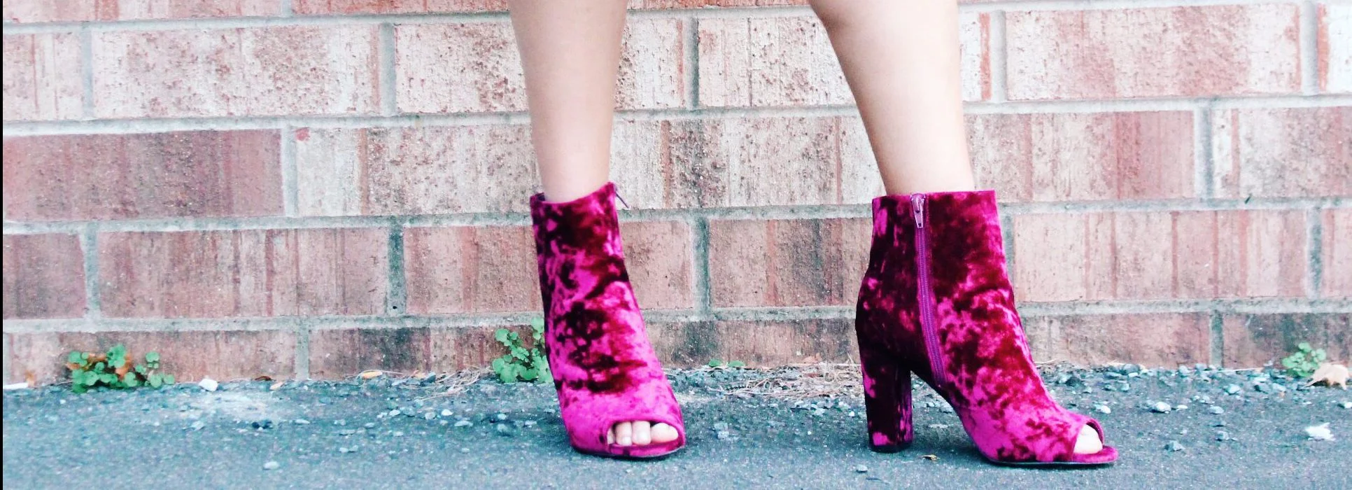 Thanksgiving Was a Party & at Least I Was Cute