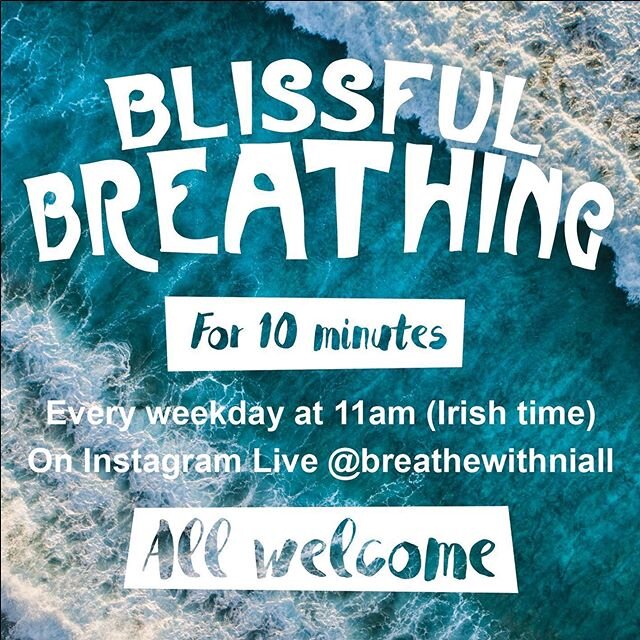 The sun was shining today. People here in Dublin seemed happy and hopeful. I&rsquo;d like to help that hope grow a little more. So, for the next five days at 11am (Irish time) I will be guiding people through 10 minutes of blissful breathing. It will