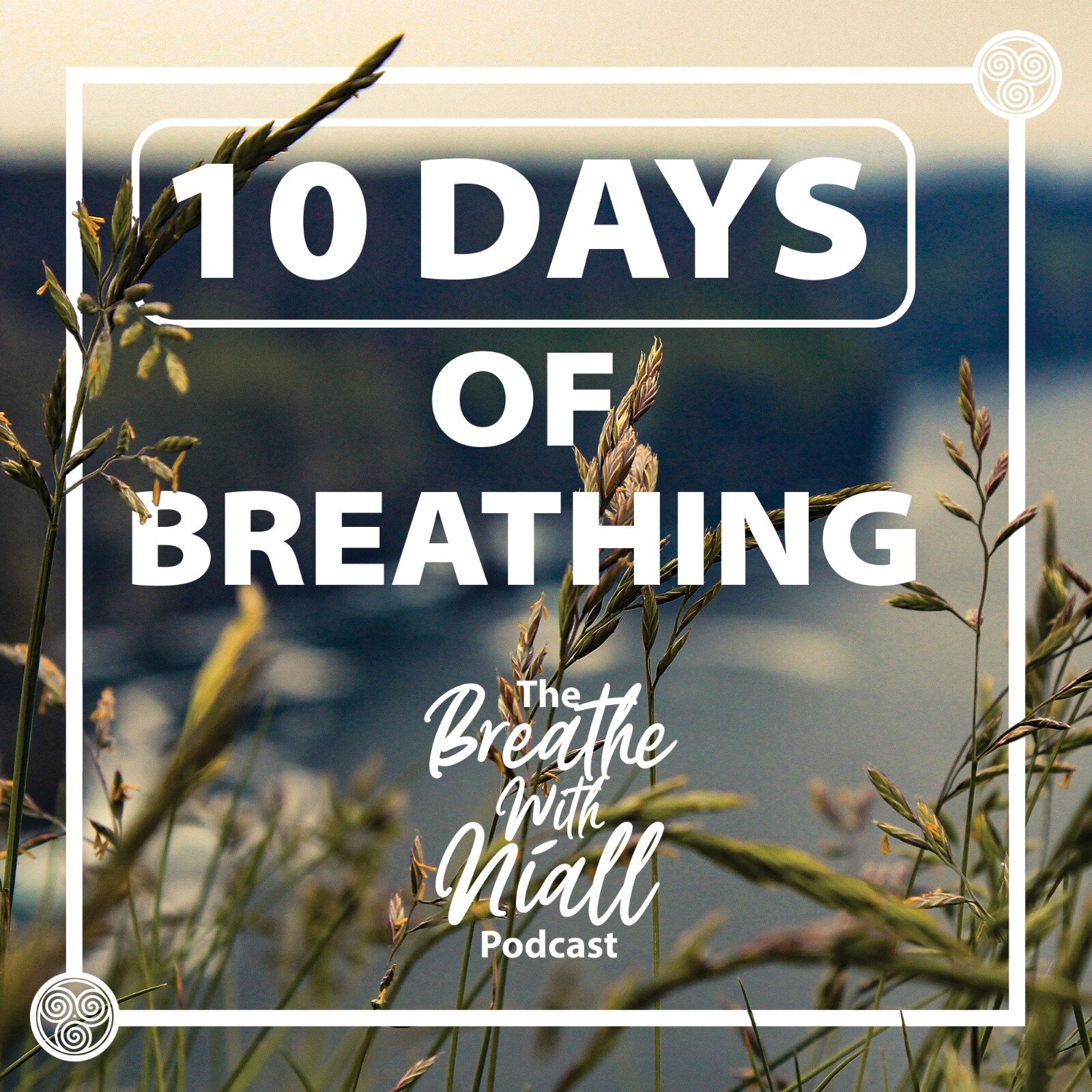 10 Days of Breathing — Breathe With Níall