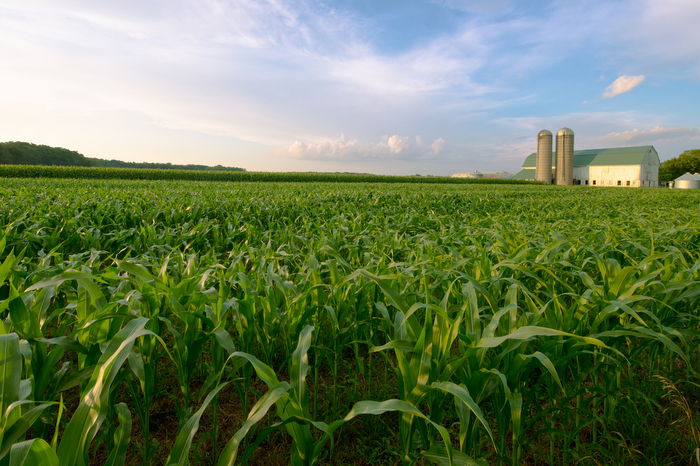 Farmland-solar-lease.jpg