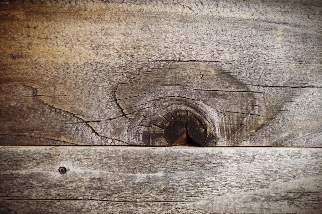 wood1 warm small.jpeg