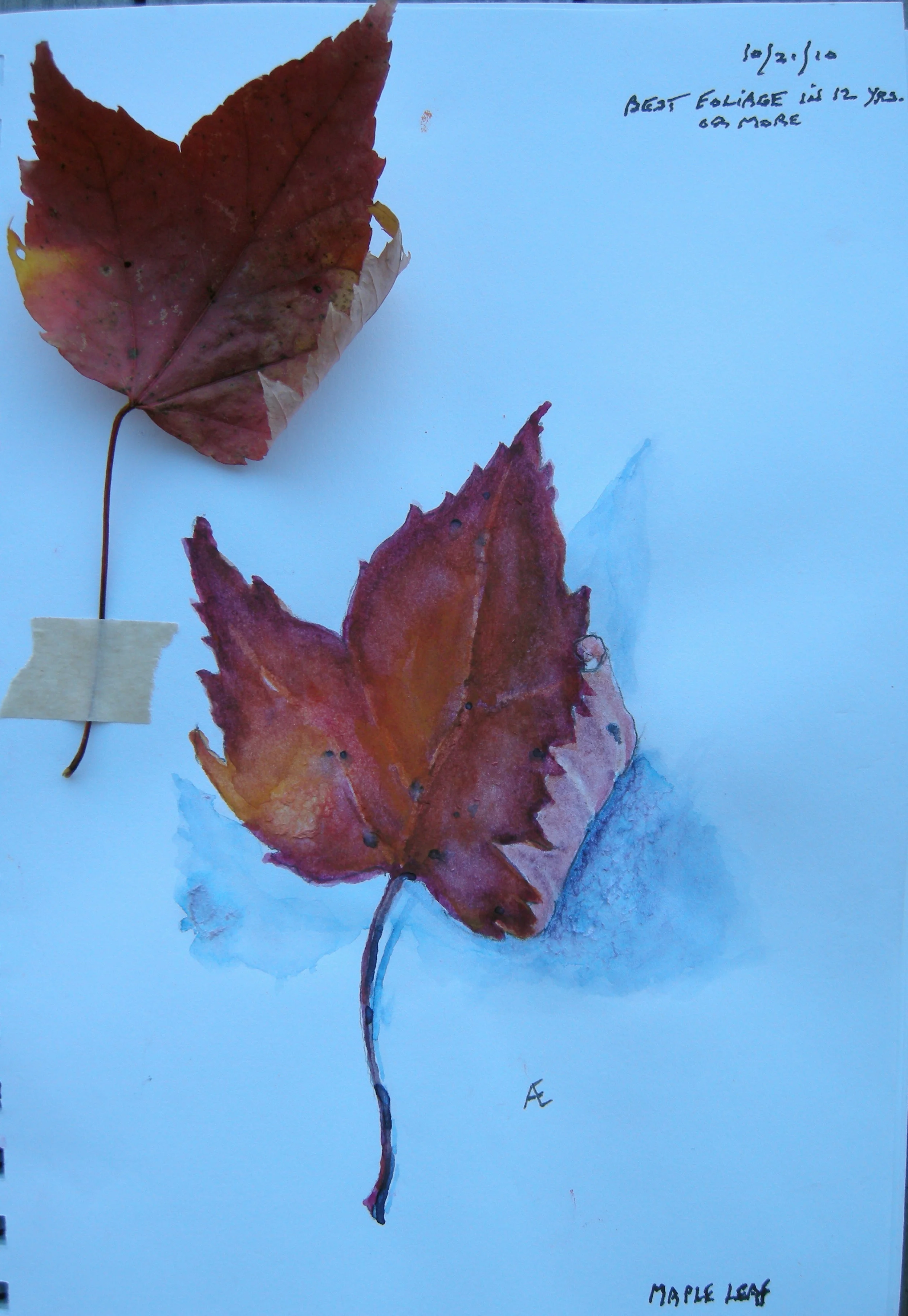 2010-10-31-Leaves.JPG