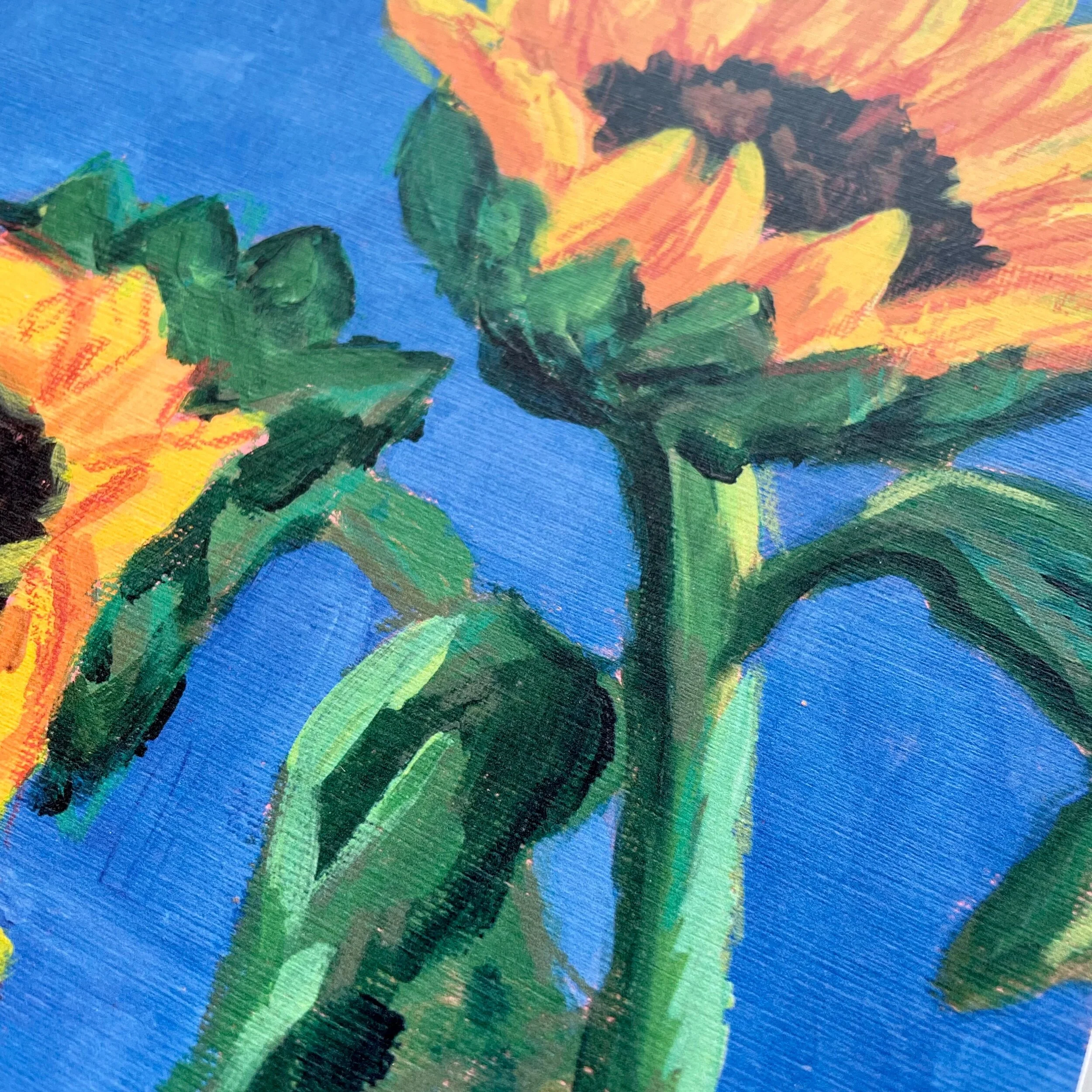 AB74E681-44B9-43EB-B4DB-5686DF421CC2