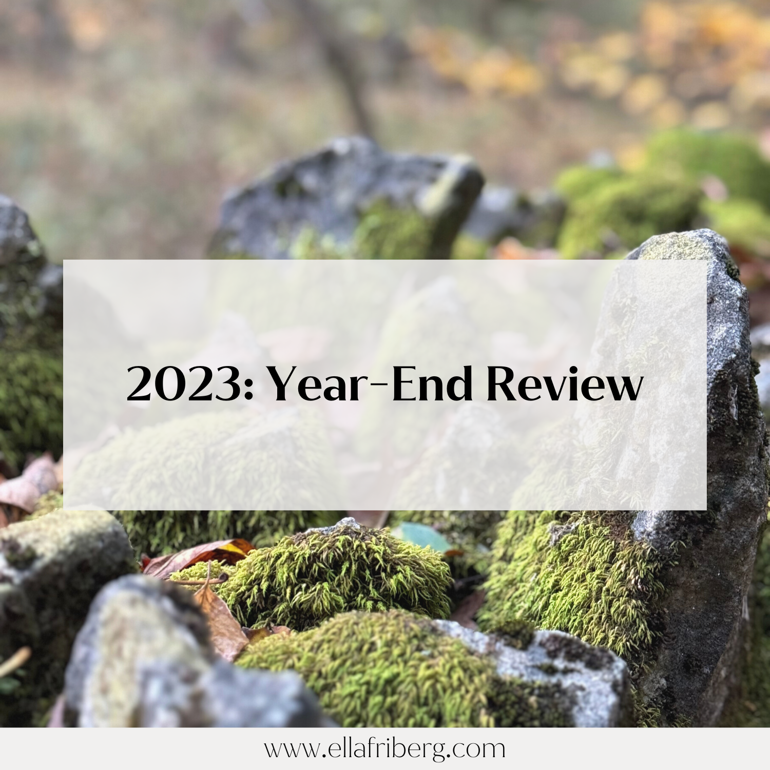 My 2023 Year-End-Review 