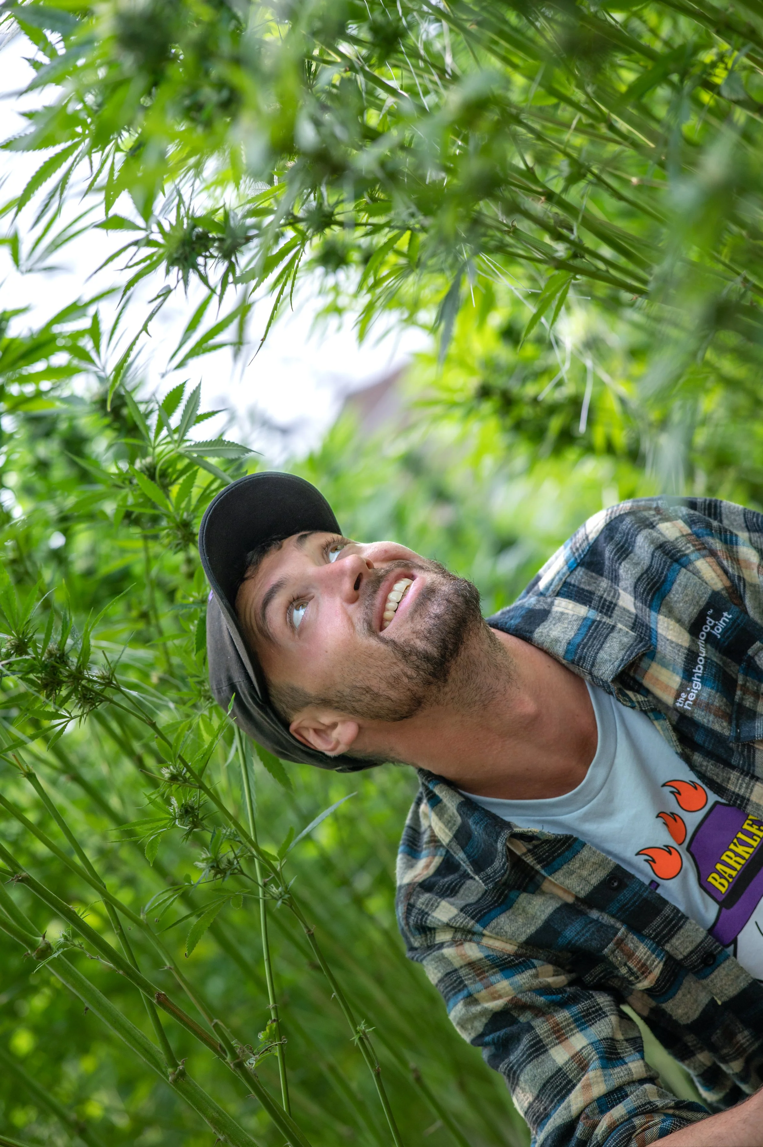 Purple Hills Tours & Events — Purple Hills