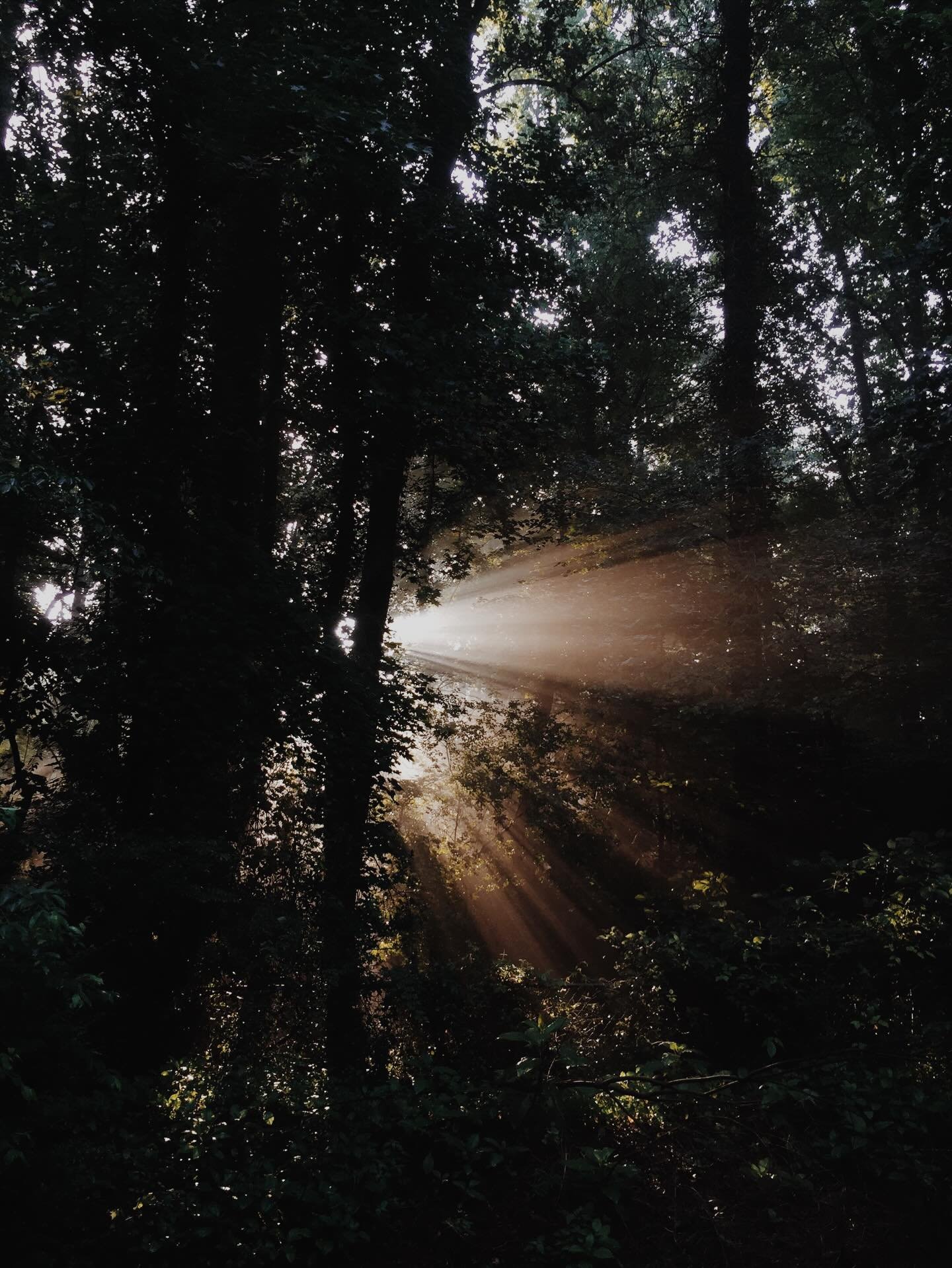 The stone was rolled away, and in a moment, everything changed. Light broke through the darkness&mdash;hope overcame despair, life defeated death.

This is the story of Easter.
Not just that Jesus rose&hellip; but that His light still breaks through 