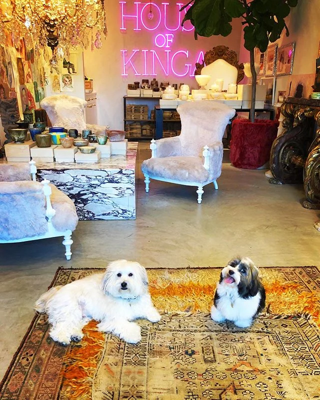 Lion and Tiger visit HOK 🥂